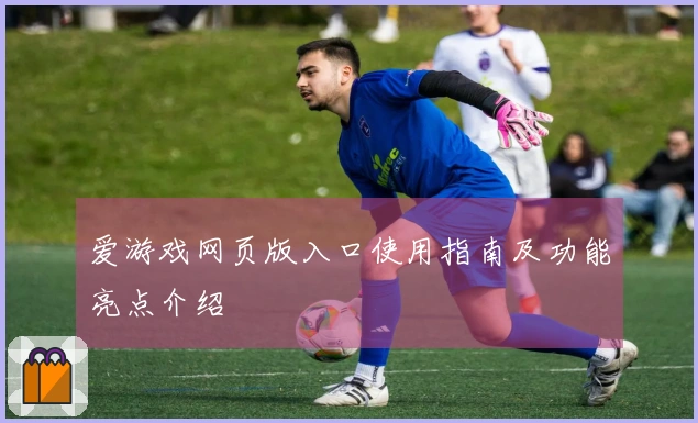 爱游戏网页版入口使用指南及功能亮点介绍